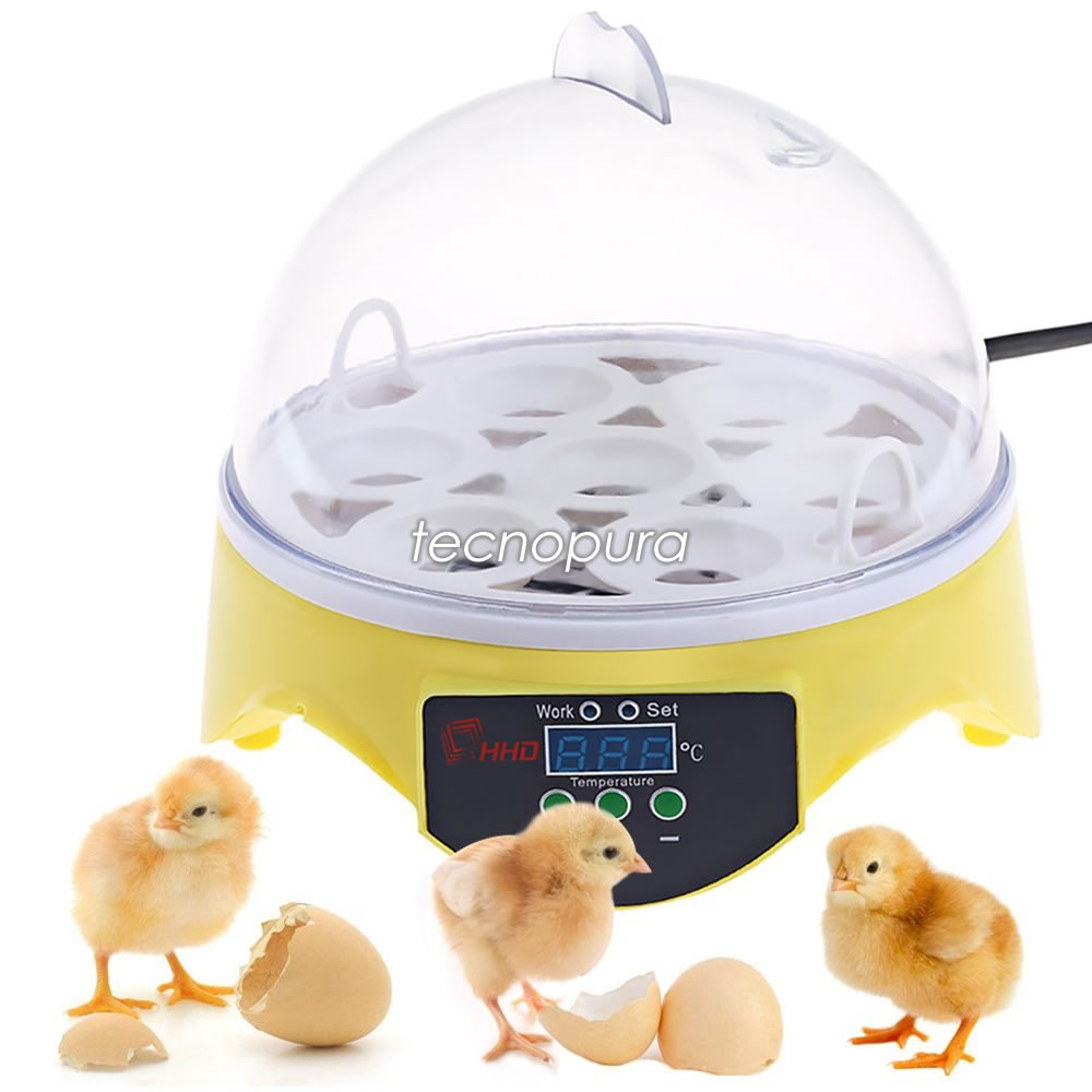 Presunto Bolsa débiles Incubadora automática de 7 huevos con control digital de temperatura -  Tecnopura